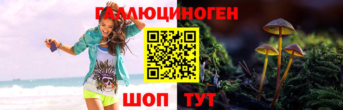 Псилоцибиновые грибы мухоморы  Вход с VPN  Новомосковск 